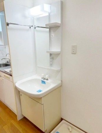 洗面設備　参考写真：別部屋タイプ