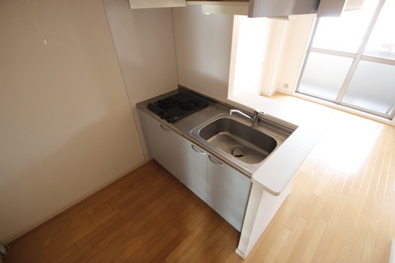キッチン　※別号室の写真です