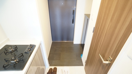 玄関　同仕様タイプ