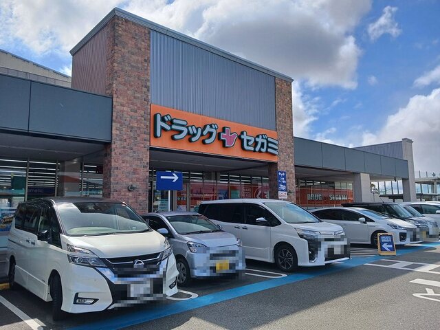 ドラックストア　ドラッグセガミ（ドラッグストア）まで550m