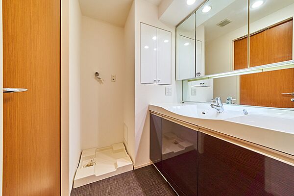 洗面設備　（別タイプ参考写真）グローリオタワー巣鴨　　豊島区巣鴨4