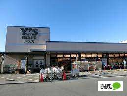 スーパー　ワイズディスカ香澄店（スーパー）まで862m