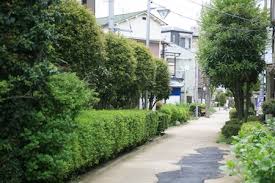 公園　やっちゃば緑道（公園）まで179m