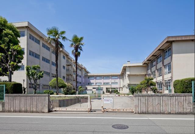 中学校　相模原市立麻溝台中学校（中学校）まで734m