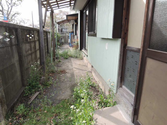 庭