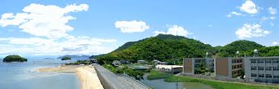 小学校　尾道市立高見小学校（小学校）まで1183m