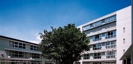 中学校　板橋第三中学校（中学校）まで343m