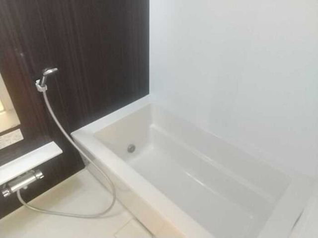フォンテーヌ聖蹟IIの風呂写真