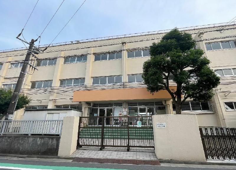 小学校　葛飾区立白鳥小学校（小学校）まで300m