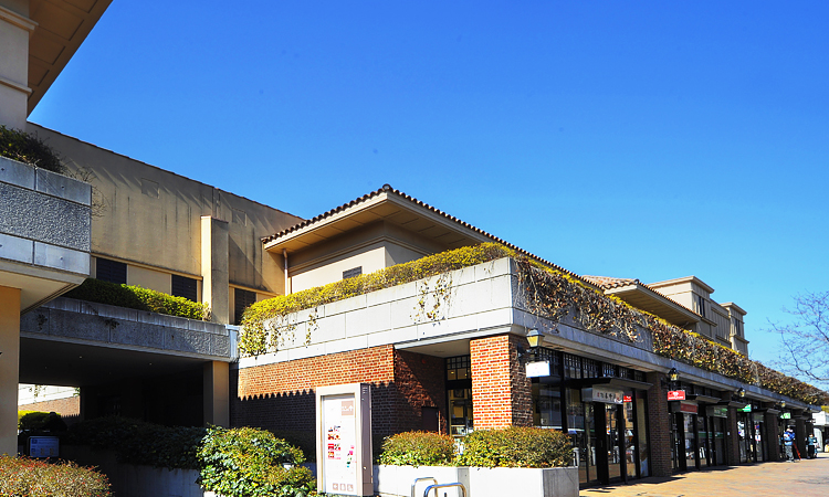 コンビニ　セブンイレブン 世田谷奥沢3丁目店（コンビニ）まで426m