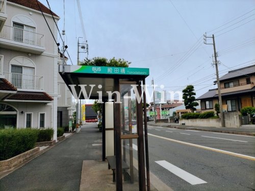 サンリット Aの周辺写真