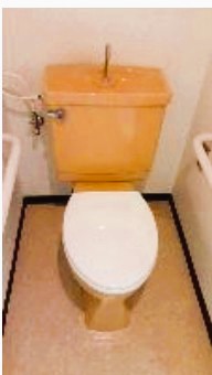 magnolia houseのトイレ写真