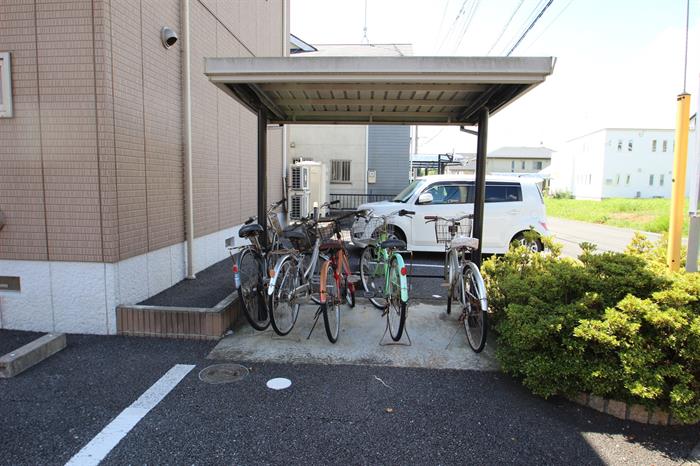 スターチスBのその他写真