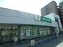 銀行　埼玉りそな銀行ふじみ野支店（銀行）まで776m