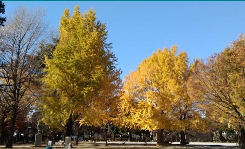 公園　板橋区平和公園（公園）まで445m