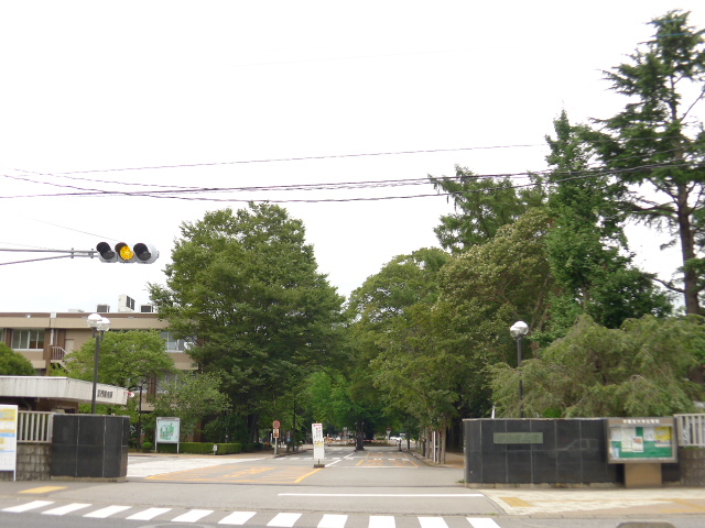 大学・短大　国立宇都宮大学（大学・短大）まで619m