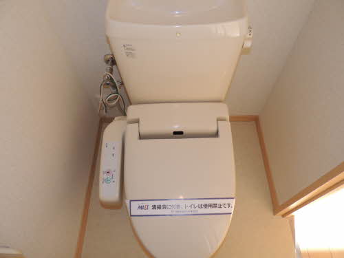 サウザンドタウン C棟 *のトイレ写真