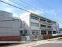 小学校　高知市立横内小学校（小学校）まで803m