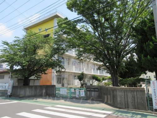 【川口市芝中田のマンションの小学校】