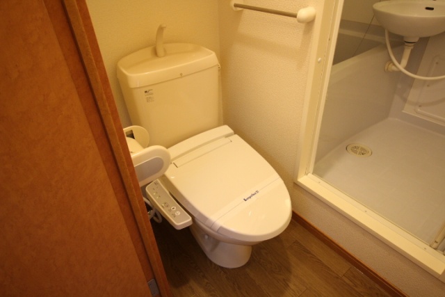 トイレ　写真は別号室のものです。