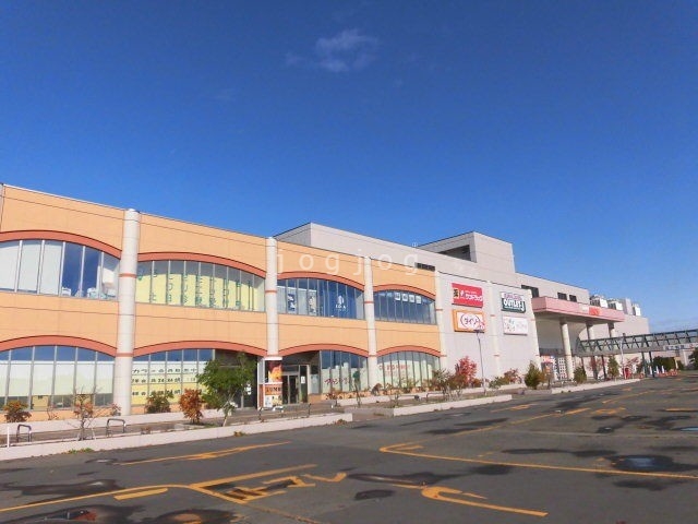 ホームセンター　ザ・ダイソーちとせモール店（ホームセンター）まで1359m