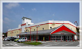 スーパー　バザールタウン篠山・ＮＥＷＳ館（スーパー）まで559m