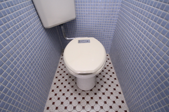 トイレ　※別号室の写真です