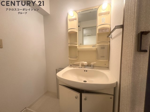 洗面設備　室内洗濯機置き場あり　収納がたっぷりの独立洗面化粧台