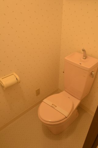 トイレ　同物件、別号室の写真です。