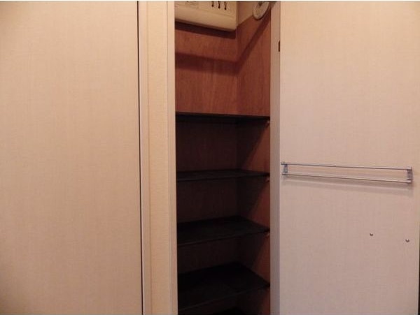 収納　※写真は同じマンションの違う部屋のものになります。