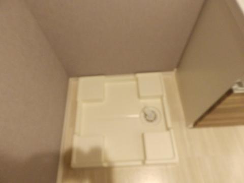 その他　洗濯機置場