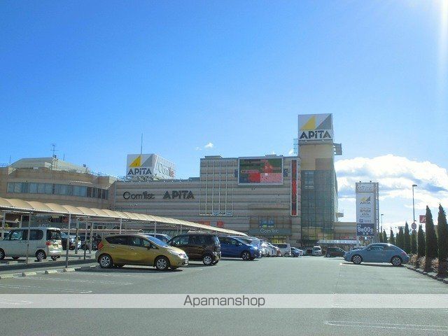 ショッピングセンター　アピタ（ショッピングセンター）まで500m