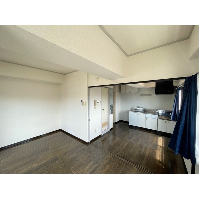 その他部屋・スペース　１ＬＤＫとしても生活できそうな間取りです