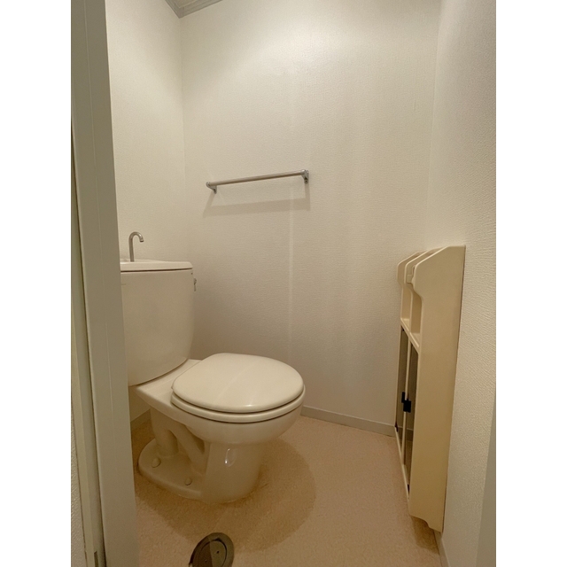 トイレ　洋式トイレ、下部に収納スペース、タオル掛