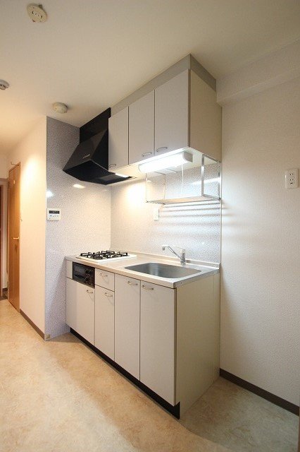 キッチン　同物件、別号室のものです。