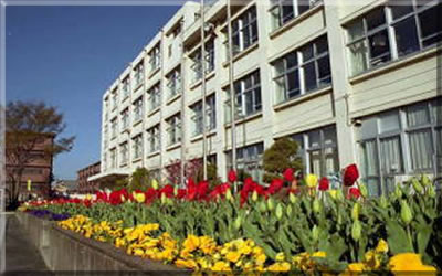 小学校　羽村市立栄小学校（小学校）まで245m