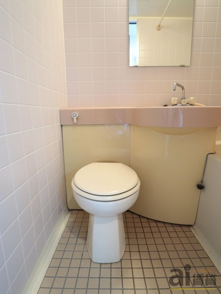 トイレ　※別号室写真です