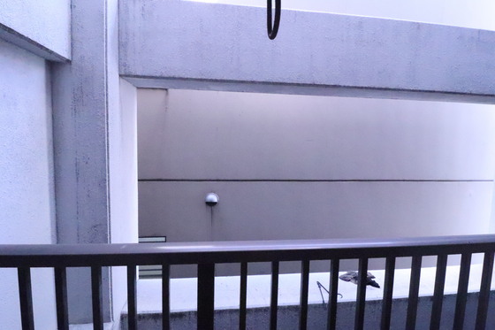 眺望　※別号室の写真です