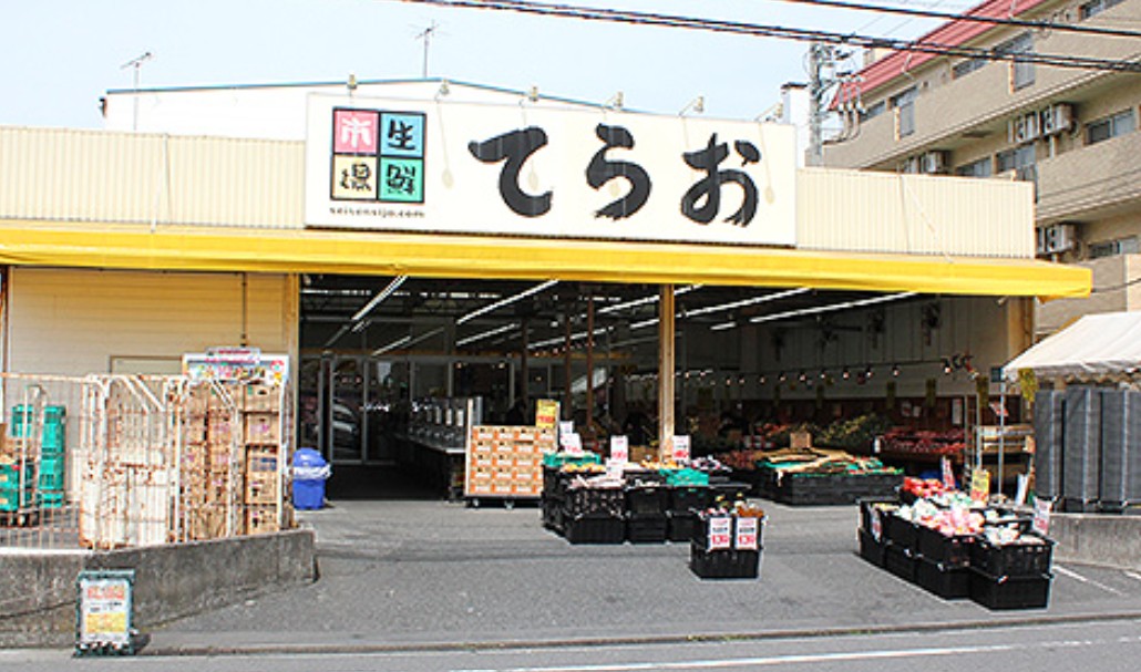 スーパー　生鮮市場てらお八千代店（スーパー）まで1209m