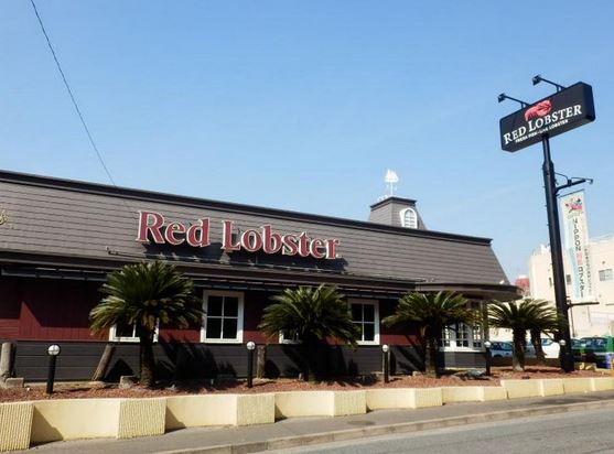 飲食店　レッドロブスター上池台店（飲食店）まで247m