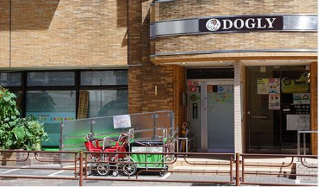 幼稚園・保育園　こどもヶ丘保育園根岸園（幼稚園・保育園）まで382m