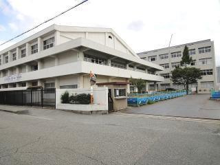 小学校　尼崎市立大島小学校（小学校）まで619m