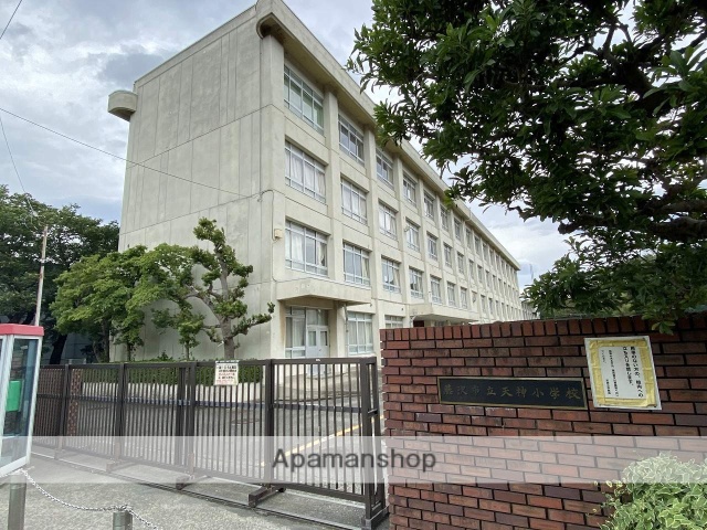 小学校　藤沢市立天神小学校（小学校）まで590m