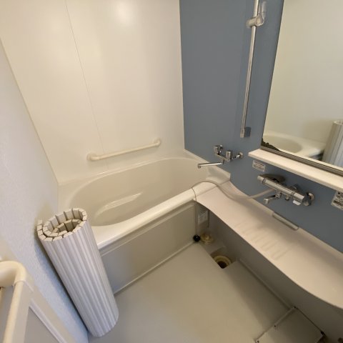 バス・シャワールーム　落ち着いた空間のお風呂です