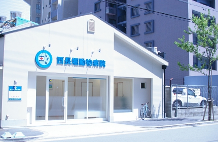 病院　西長堀動物病院（病院）まで128m