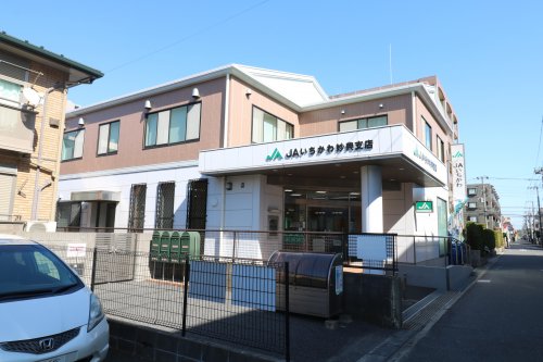 銀行　JAいちかわ妙典支店（銀行）まで775m