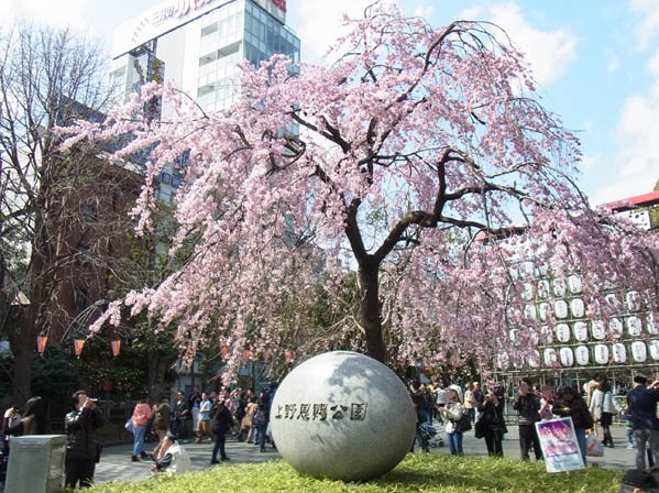 公園　上野恩賜公園（公園）まで1083m