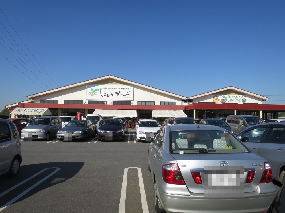 その他　JA千葉みらい農産物直売所「しょいかーご」（その他）まで797m