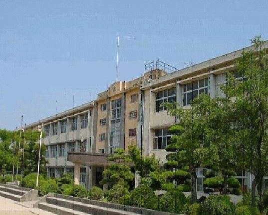 中学校　藤山中学校（中学校）まで383m