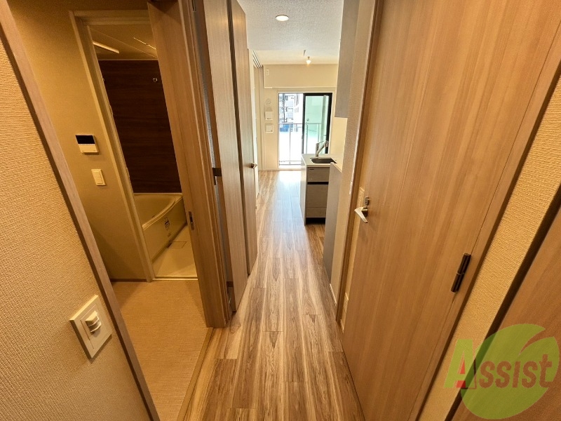 玄関　玄関からの様子です。照明の電気は自動で付くタイプです。